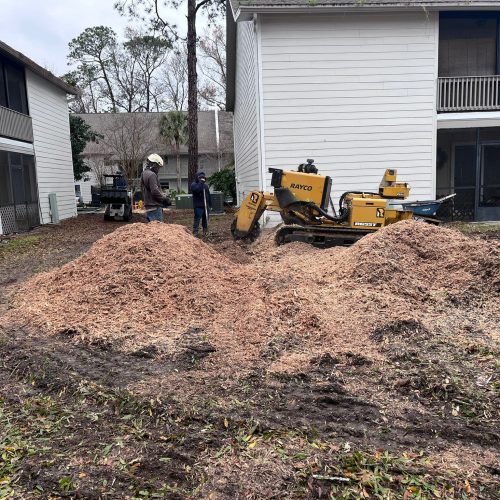 Imagen de WhatsApp 2025-01-23 a las 16.40.56_f0ff739f