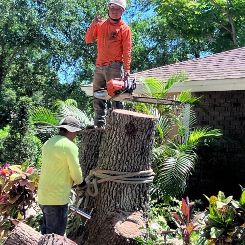 Imagen de WhatsApp 2025-01-23 a las 16.50.07_0b9f9776